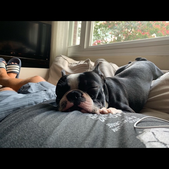 Meet your Posher, Frank - Picture 1 of 1